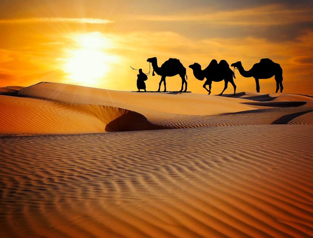 rajasthan desert
