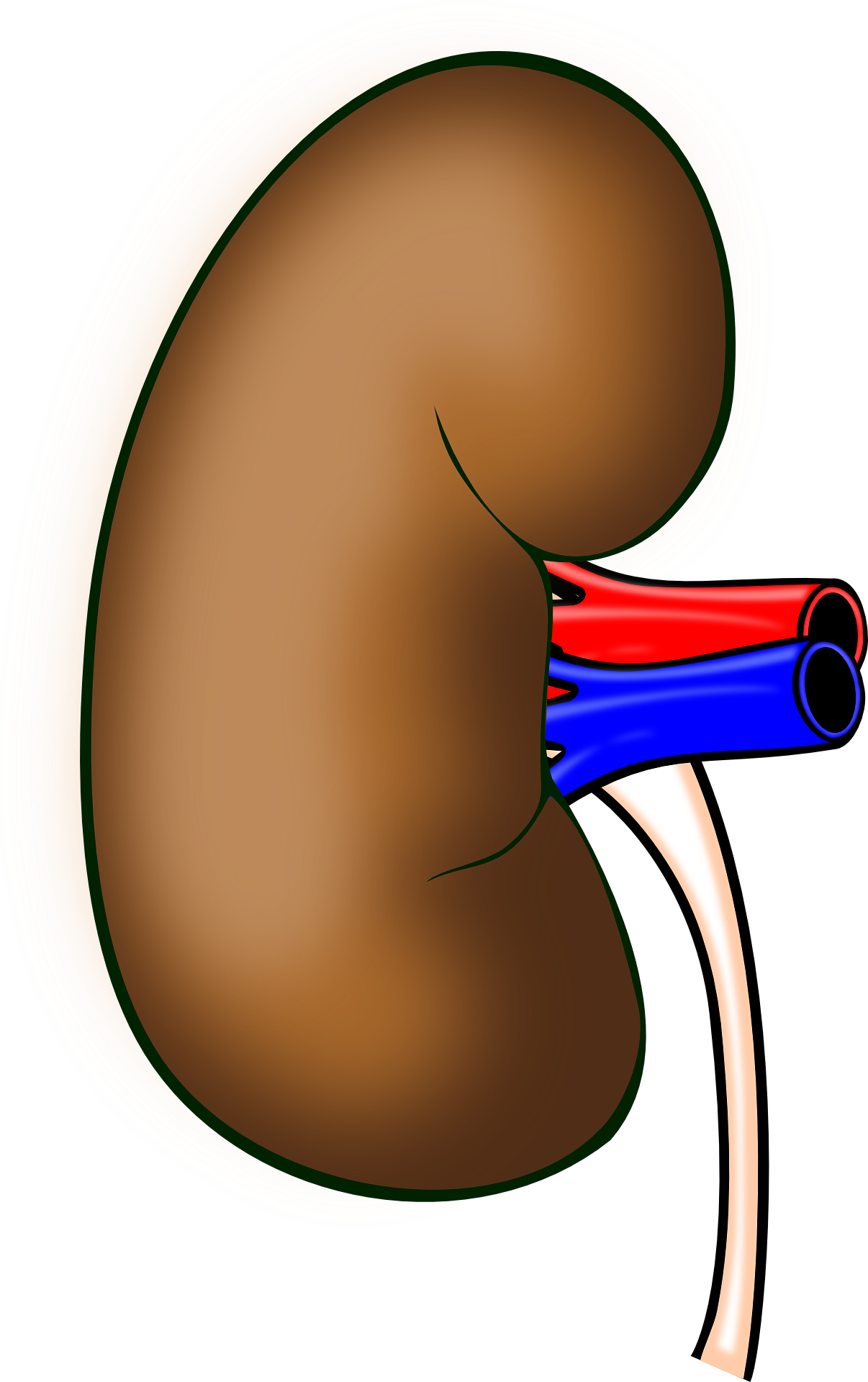 Kidney Failure: These are 8 life threating symptoms.