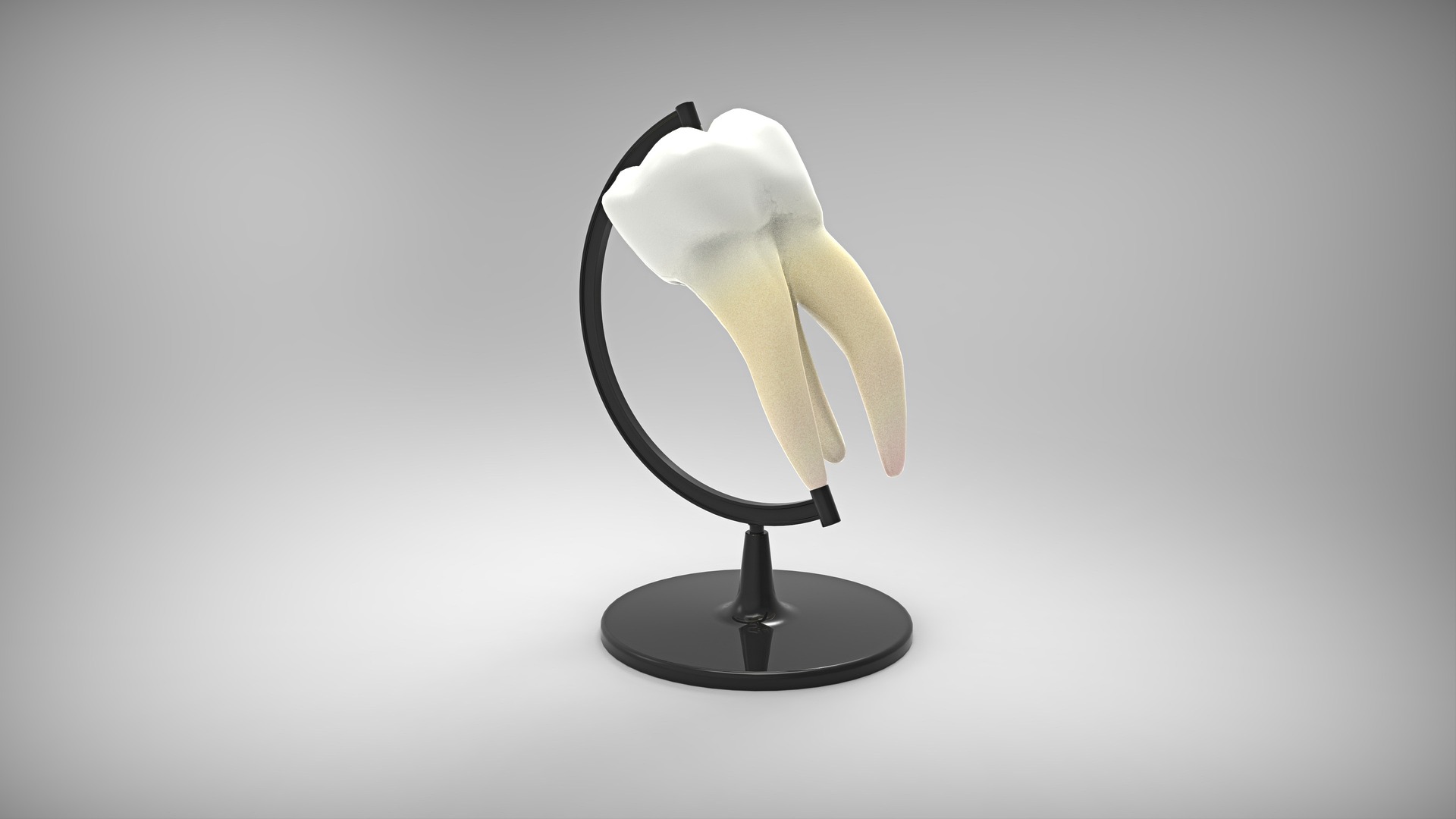 teeth